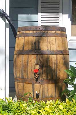 Used Whiskey Rain Barrel