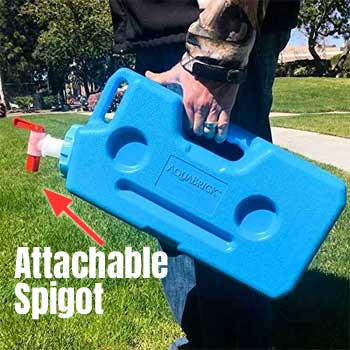 AquaBrick 3 Gallon Water Storage Container with Screw-on Spigot