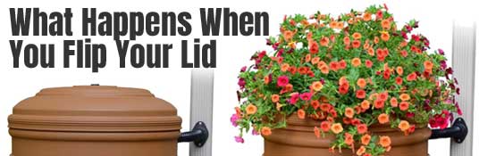 Reversible Rain Barrel Planter Lid with Flowers