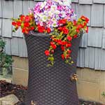 Wicker Basket Rain Barrel with Planter on Top